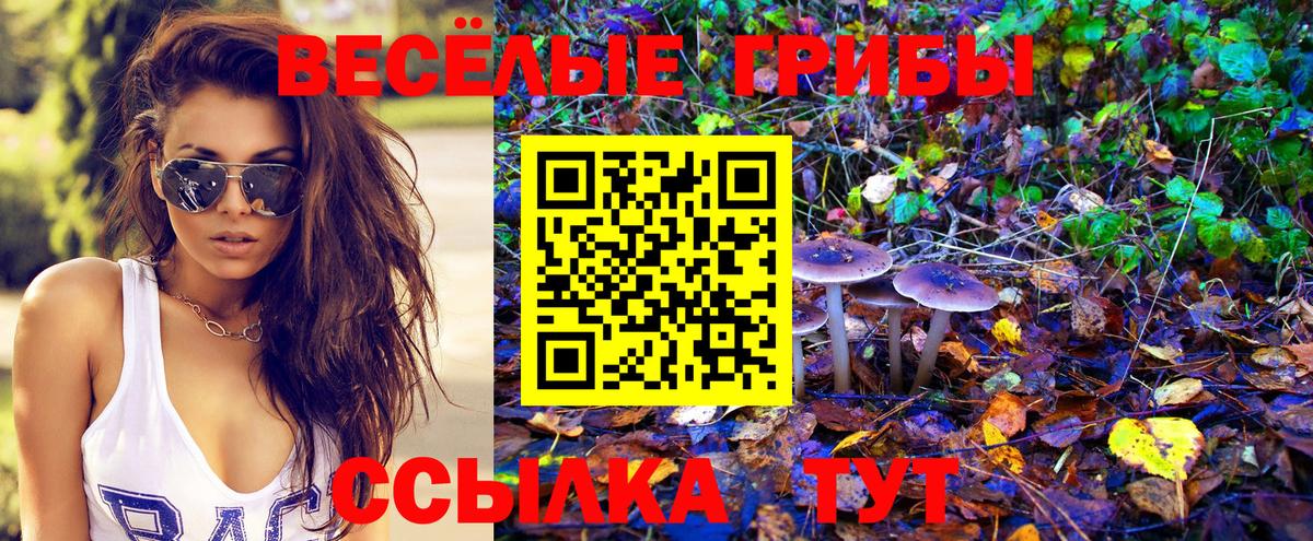 сколько стоит  Сосновоборск  Псилоцибиновые грибы ЛСД 