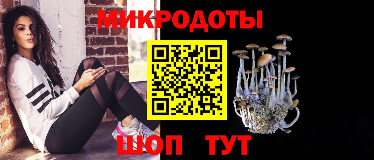 Псилоцибиновые грибы Cubensis Сосновоборск